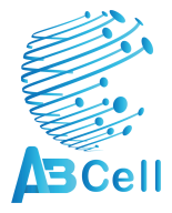 AB Cell